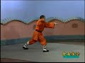 Traditional Shaolin Boxings Collection 2