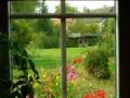videos de Ferienhaus in Zeeland, Breskens, Niederland,  Nordseeküste.