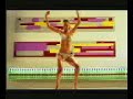 Gancia - Galgos (Decime ya que estas pensando)