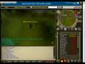 cut trees on rs