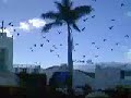 discurso del sub comandante insurgente marcos del ezln