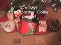 Christmas Puppy Suprise at DarnFar.com
