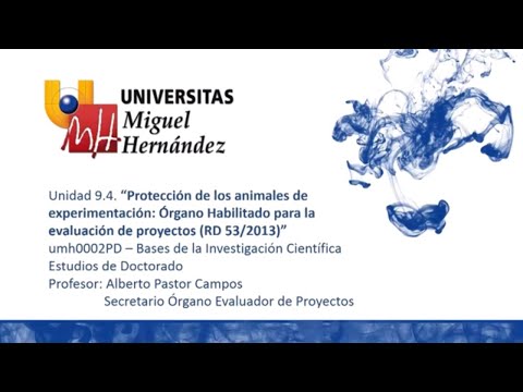 Imagen de previsualización de YouTube