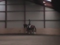 18th Nov 09 Trot 1.wmv