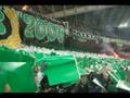 Gate 13 - Like No Other