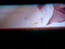 video wave 8