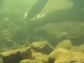 Buy Scrap Gold From Home http://www.urbangoldminer.net Buy Scrap Gold From Home http://www.urbangoldminer.net