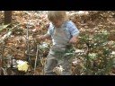 Samuel Forest Explorer