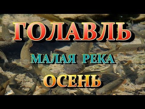 YouTube Трейлер