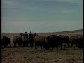 AMBICION, ANTONIO AGUILAR