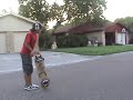 $P$K Promo Vid. $P$K Promo Vid.