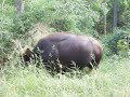 100_2397.MOV