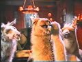 La llama que llama 2 - Zoologico