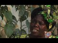 Wangari Maathai & the Green Belt Movement Wangari Maathai & the Green Belt Movement