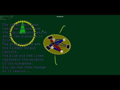Life Simulation - As a side project, I have been learning about neural networks. I decided to create this simulation to see if a simple bug could learn how to find food and su...