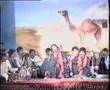 Udiyaan Ni Koonjan wich Rohi, Jamil Parwana, Saraiki