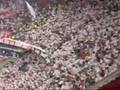 Ajax Amsterdam - F.C København 0-2