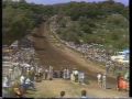 1984 hawkstone park