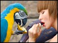 Diet Like A Bird (Raw Foods Diet) Diet Like A Bird (Raw Foods Diet)