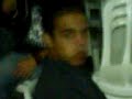 o festao