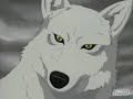 Wolf\