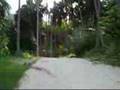 Koh Samui Thailand Land for Sale