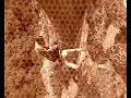 a film by nicolas falquet with jürg häcki and mathias roten