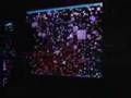 videos de Breaking Andew Wall