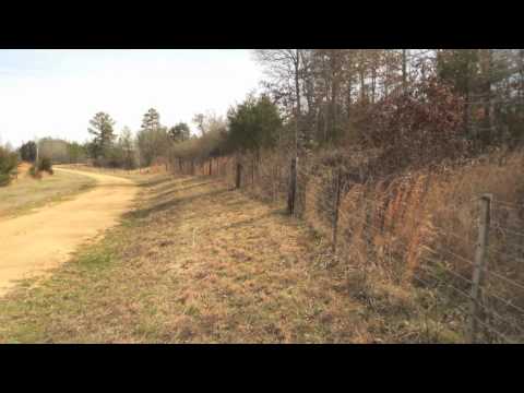 Tennessee Land For Tiny Houses | GVF-TR19-ML
