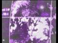 videos de EXTREME HAIR STENCH - Der Zahlenfuchs