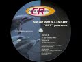 Sam Mollison - Cry (DJ Gogo Remix)