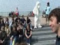 IJsbeer aan zee IJsbeer aan zee
