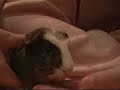Rest In Peace Baby Alphie Rest In Peace Baby Alphie