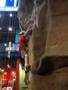 Alex rock climbing