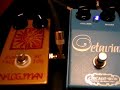 Chicago Iron Octavian/Analogman Silicon Sunface Demo