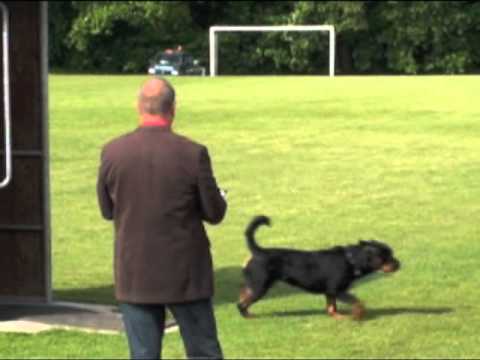 YouTube Трейлер