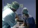 videos de MEPs Edit Bauer 01 transplant__cieHU.wmv