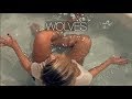Selena Gomez, Marshmello - Wolves (Andie Case Cover)