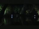 Enchanted Forest