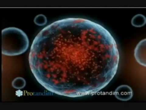 how to eliminate oxidative stress