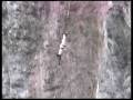 Bungy jumping de Nestor