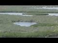 Estero El Soldado: Video documental