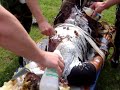 USAF Hazing USAF Hazing