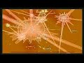 Everyday Shooter - Levels 1-3 Everyday Shooter - Levels 1-3