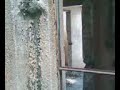 espanto-ii.html