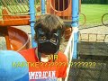 Batman DANANANANANA Batman DANANANANANA