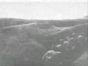 Film-ARMATA-Romana-i