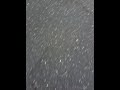 IMG 0319