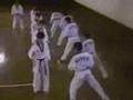 Tae Kwon-Do W.T.F - TKD Fantastico