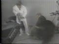 when bears attack II when bears attack II